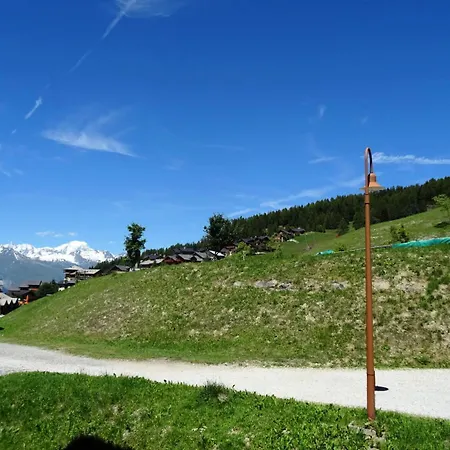 Praz De L'ours 1 - 4 Personnes A Vallandry En Centre Station Et Proche Des Pistes Mae-1960 * Peisey-Nancroix